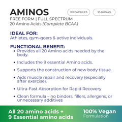 TOTAL AMINO Full Spectrum Essential Amino Acids + BCAAs - 120 Capsuls | Complete 20-Amino Acid Complex for Muscle Recovery, Strength & Performance | Vegan Free-Form Formula | Fast Absorption