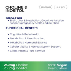 G&G Choline & Inositol - 120 Vegan Capsules | High-Strength Brain, Liver & Metabolic Support