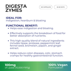 Digesta Zymes - 120 Capsules | Advanced Digestive Enzymes, Botanicals Blend, Multi-Enzyme Formula for Improved Digestion, Nutrient Absorption & Bloating Relief